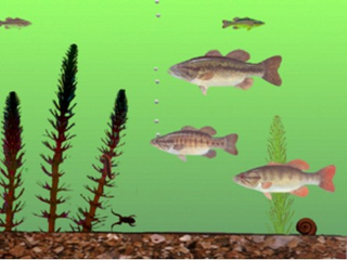 Illustration for article titled What does the Michigan Fish Test say about you?